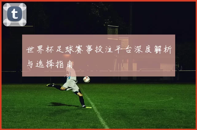 世界杯足球赛事投注平台深度解析与选择指南