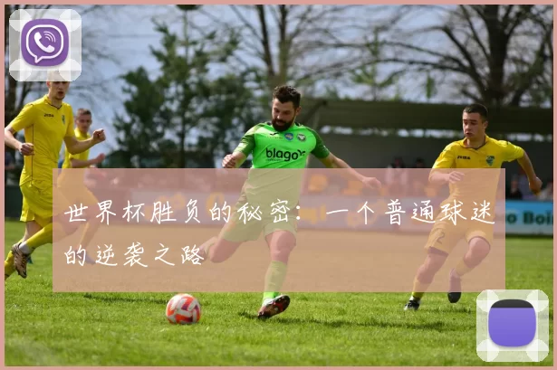世界杯胜负的秘密:一个普通球迷的逆袭之路