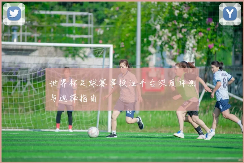世界杯足球赛事投注平台深度评测与选择指南