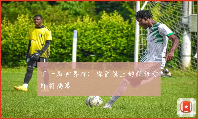 下一届世界杯:绿茵场上的新传奇即将揭幕
