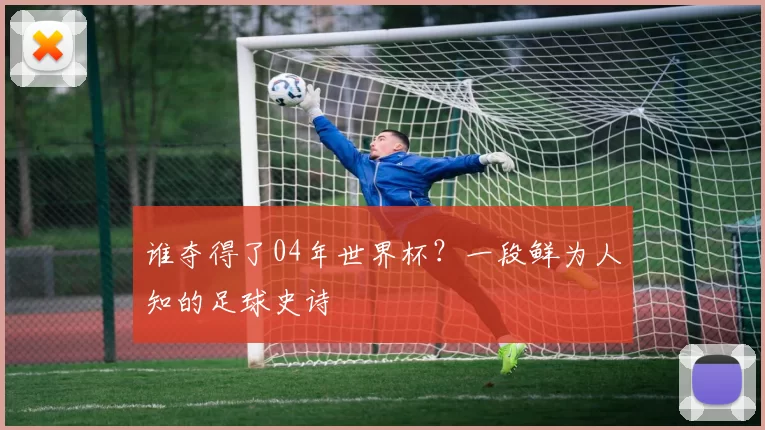 谁夺得了04年世界杯?一段鲜为人知的足球史诗