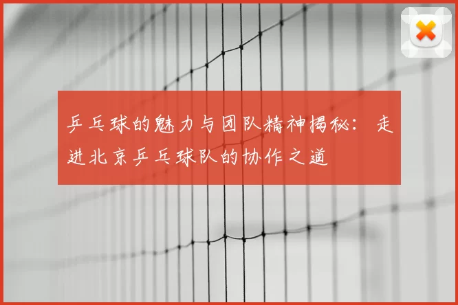 乒乓球的魅力与团队精神揭秘:走进北京乒乓球队的协作之道