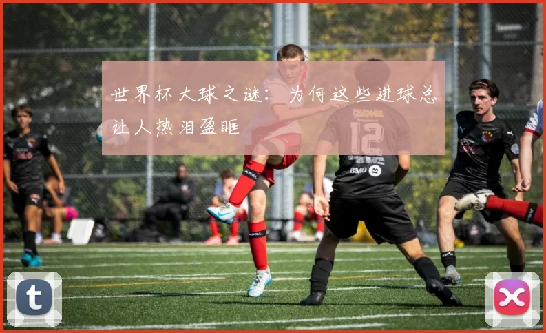 世界杯大球之谜:为何这些进球总让人热泪盈眶