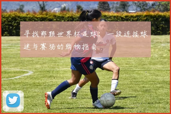 寻找那颗世界杯足球:一段连接球迷与赛场的购物指南