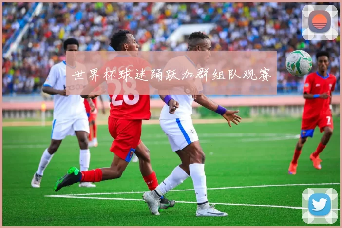 世界杯球迷踊跃加群组队观赛