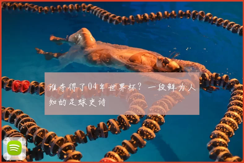 谁夺得了04年世界杯?一段鲜为人知的足球史诗