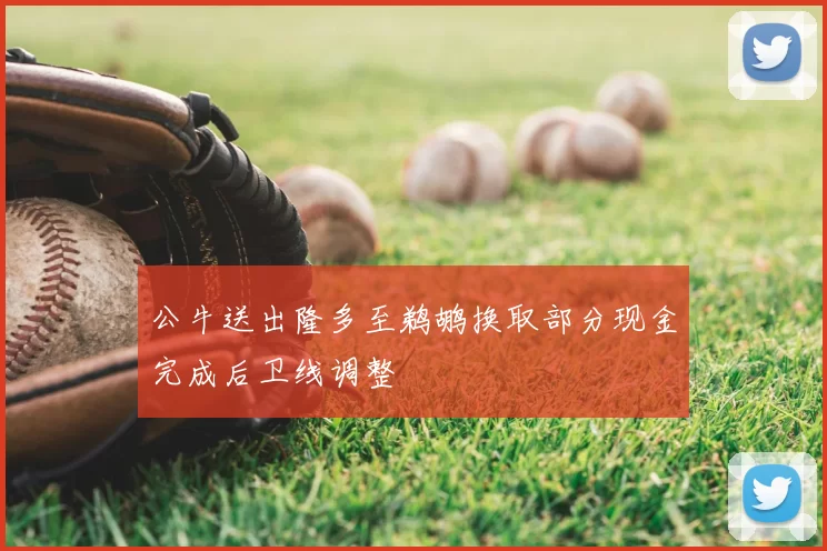 公牛送出隆多至鹈鹕换取部分现金完成后卫线调整