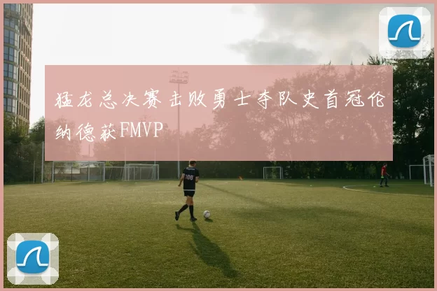 猛龙总决赛击败勇士夺队史首冠伦纳德获FMVP