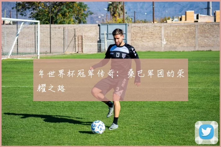 年世界杯冠军传奇:桑巴军团的荣耀之路