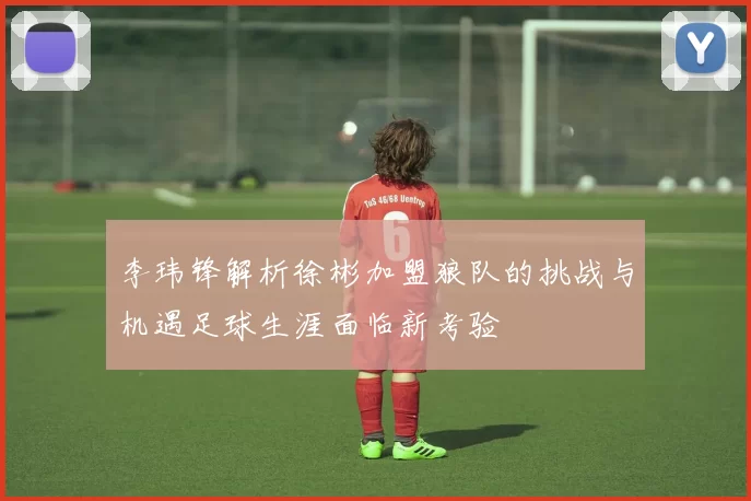 李玮锋解析徐彬加盟狼队的挑战与机遇足球生涯面临新考验
