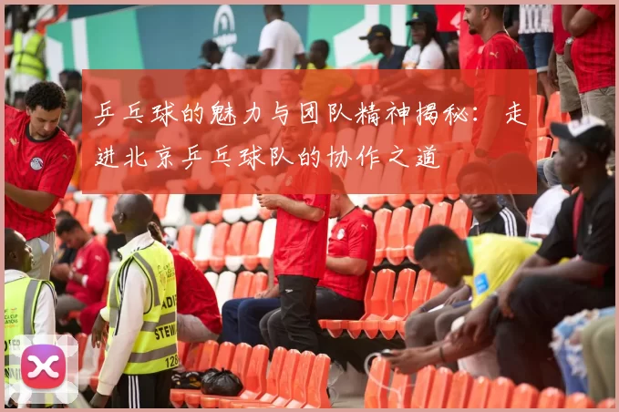 乒乓球的魅力与团队精神揭秘:走进北京乒乓球队的协作之道
