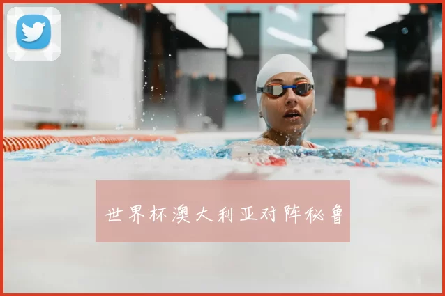 世界杯澳大利亚对阵秘鲁
