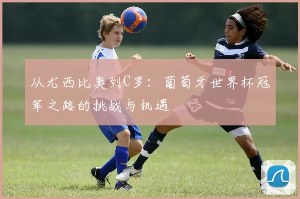从尤西比奥到C罗:葡萄牙世界杯冠军之路的挑战与机遇